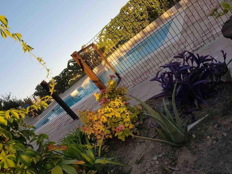 Casa Rural Alma Totanés Exteriör bild